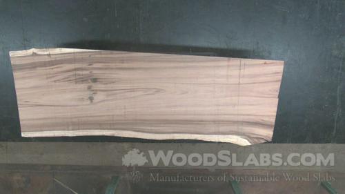 Monkey Pod Wood Slab #OQR-WVT-0R3V