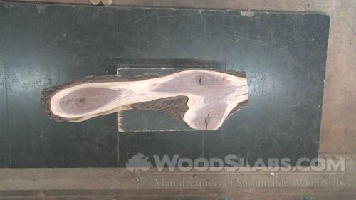 Walnut Wood Slab #7X5-WSI-2LJW