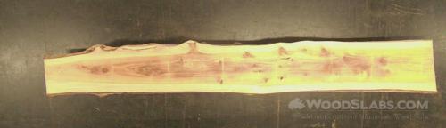 Cypress Wood Slab #HEP-WNV-K5ZT