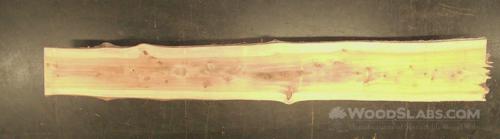 Cypress Wood Slab #5Q9-0LH-VYBJ