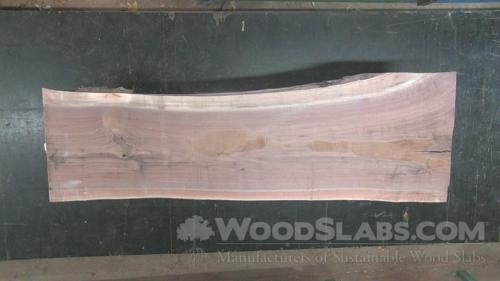 Walnut Wood Slab #5TA-I8Y-2BTU