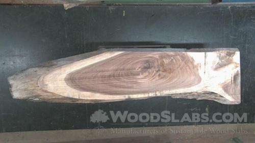 Parota Wood Slab #QVG-P4Y-5NX6