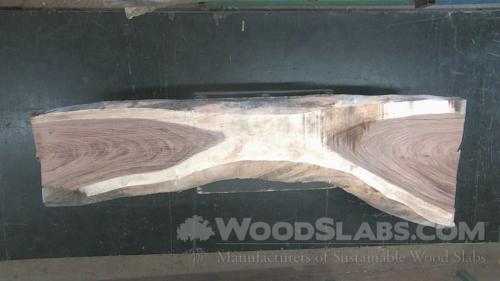 Parota Wood Slab #IIC-7K1-D36P