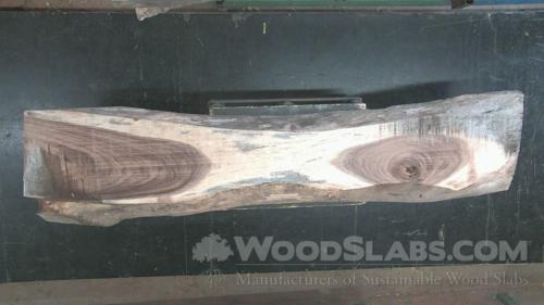 Parota Wood Slab #1VJ-VOH-T004