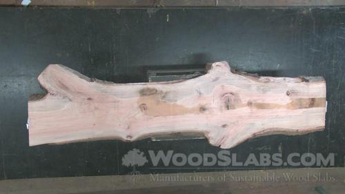 Laurel Oak Wood Slab #TKR-RRQ-PLQU