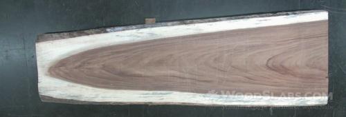 Parota Wood Slab #31Q-E0S-O414