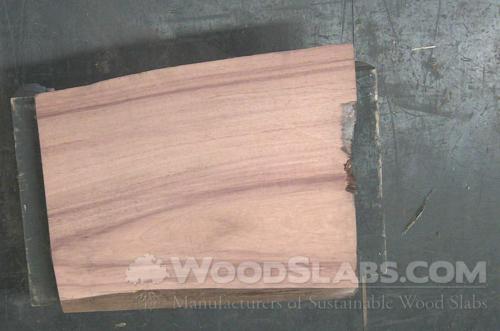 Parota Wood Slab #38U-NDL-HHK9