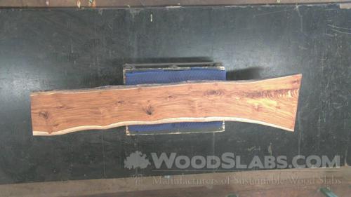 Latin Teak Wood Slab #D5R-PW7-380K