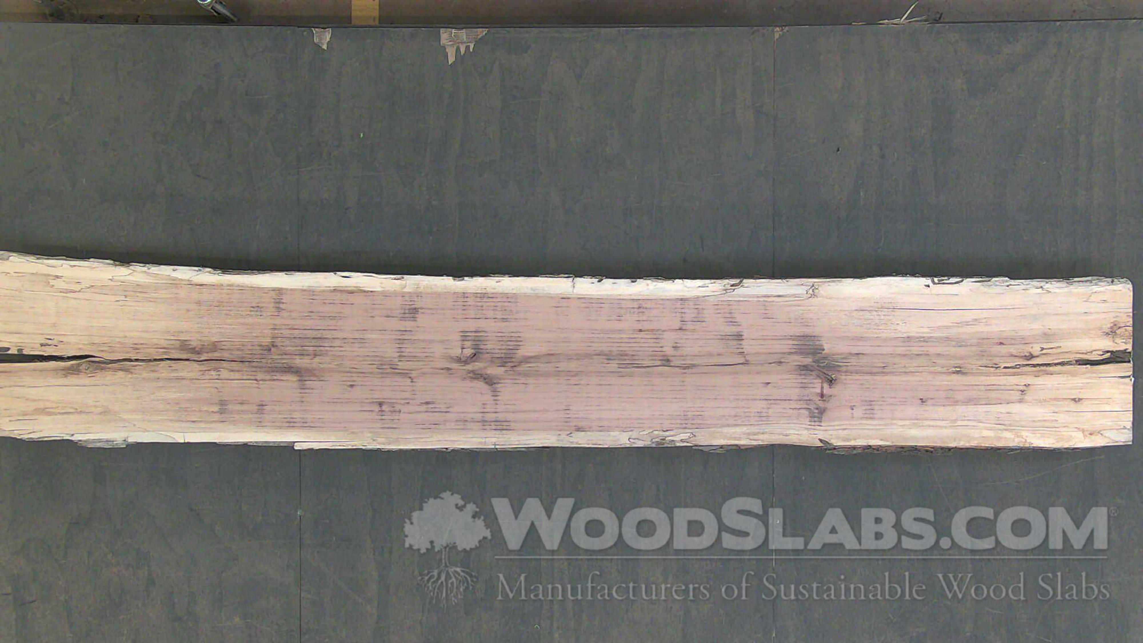 A pecan live edge slab – Collector's Specialty Woods