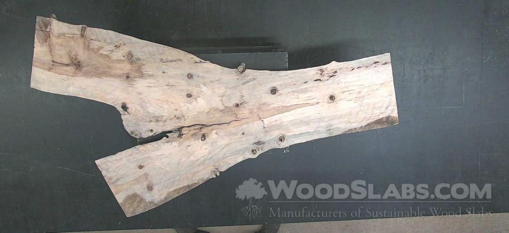  Norfolk Island Pine Wood Slab #AUI-ZYO-VN8N