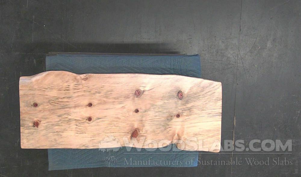  Norfolk Island Pine Wood Slab #AUI-ZYO-VN8N