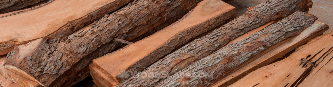 Chinaberry Wood Slabs