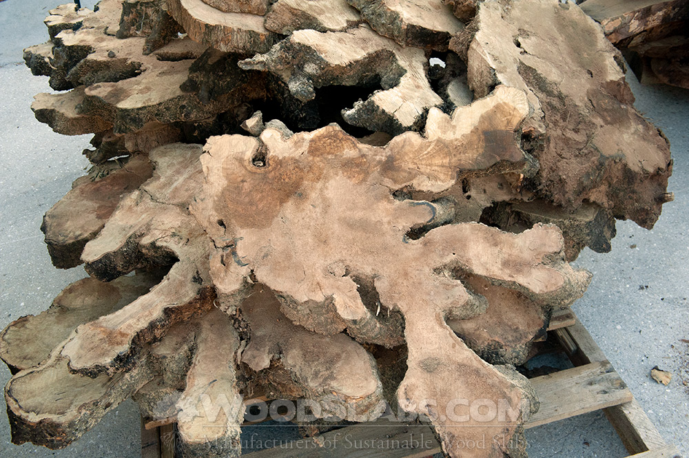 WoodSlabs Olive Wood