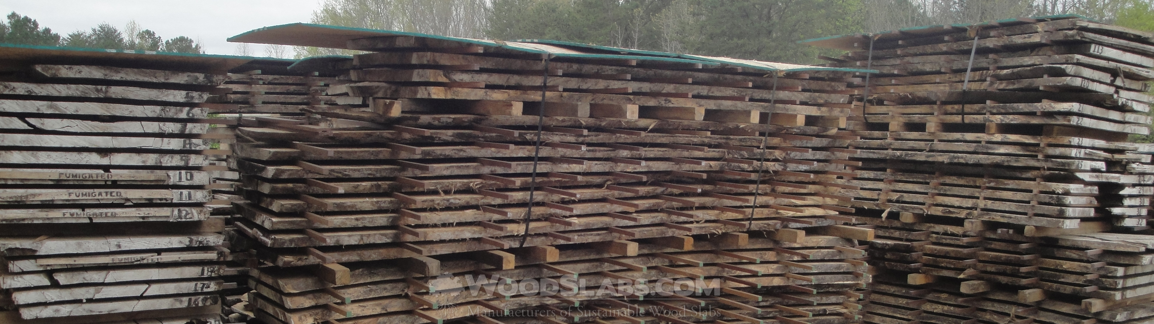 Wholesale Wood Slabs